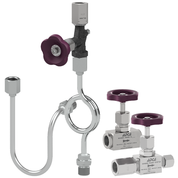 Gauge valve, cocks and siphons